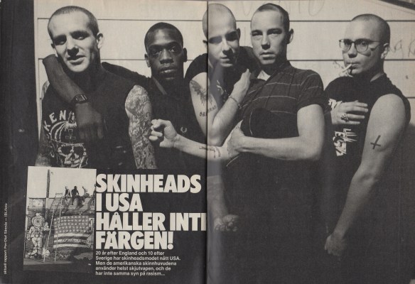 usaskinheads1